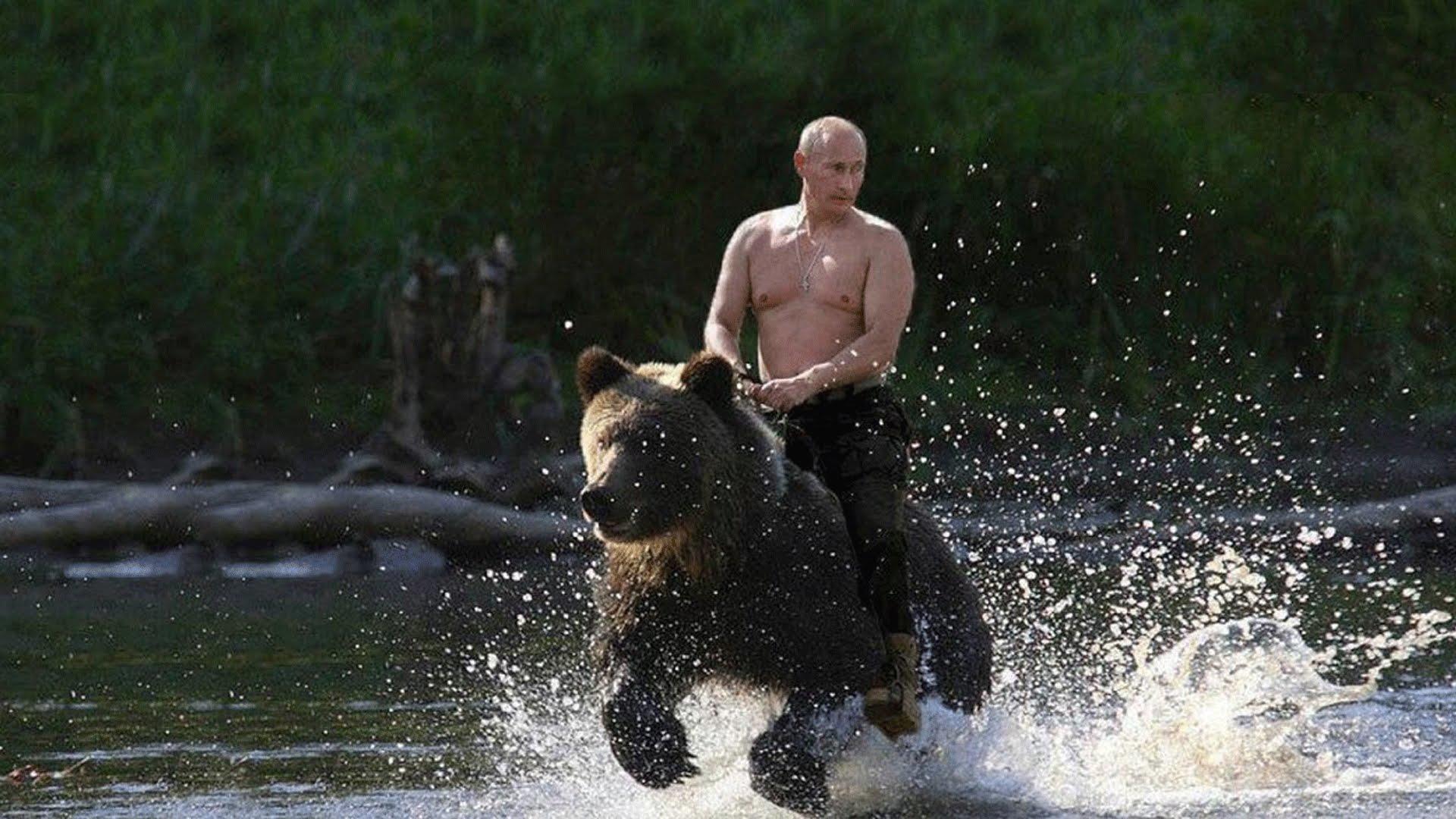 putin on the bear - Moscow Russian.