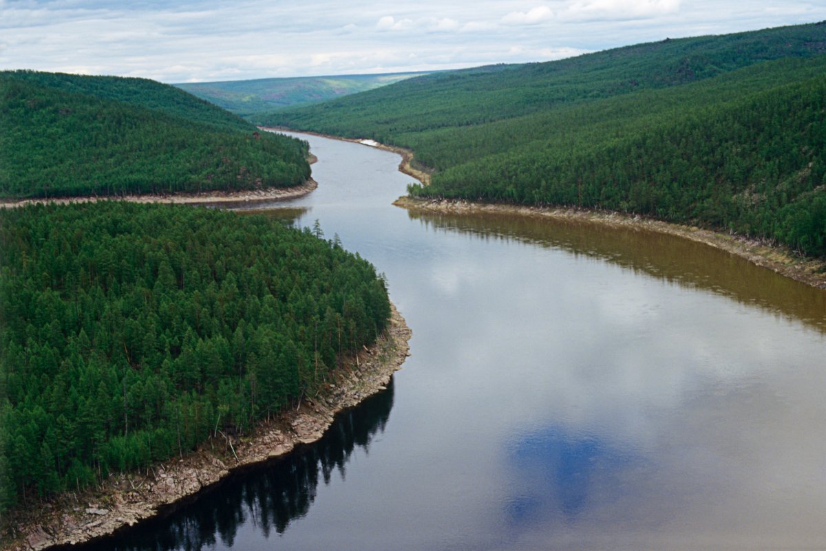 река лена в россии